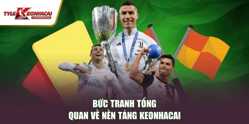 Bức tranh tổng quan về nền tảng Keonhacai